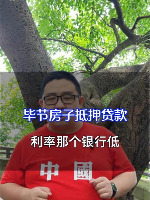 金融机构在小额贷款行业的角色与挑战，房子抵押贷款不同平台的利率比较